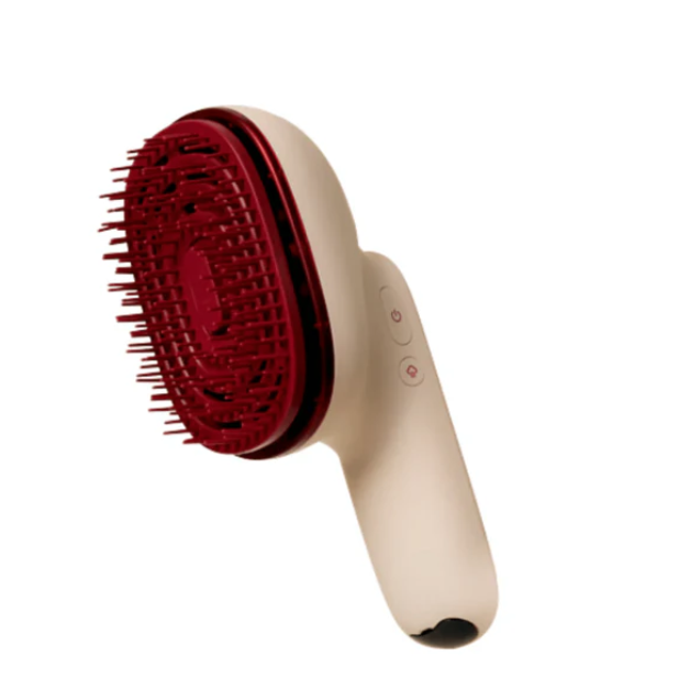 Hair Steamer Pro